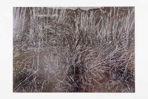 中村政人 賞:木森恵子「citta」 中村政人 賞:木森恵子「citta」